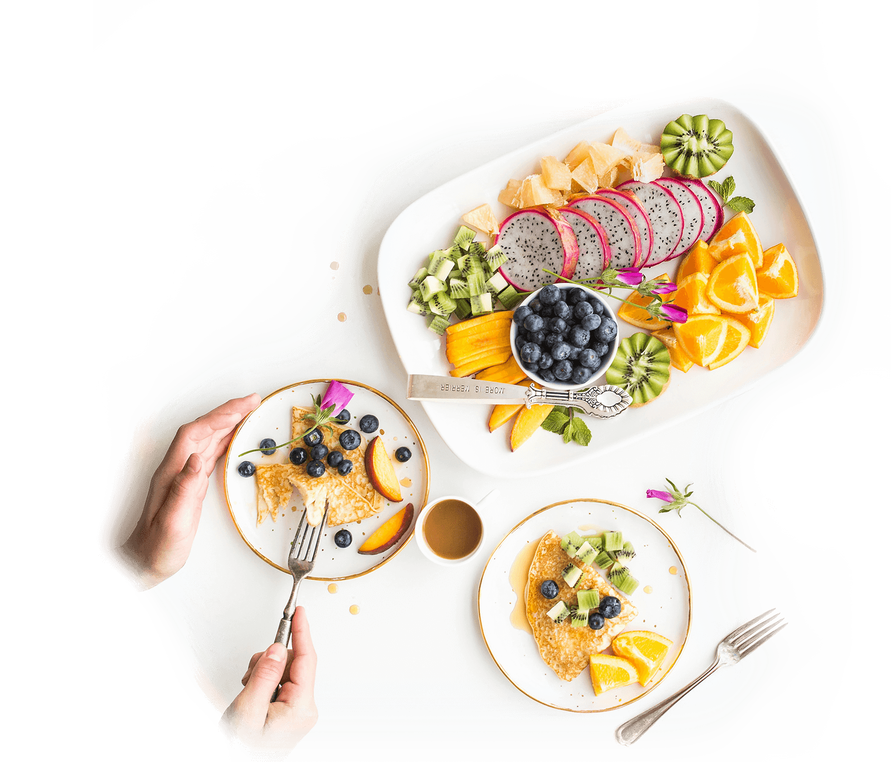 大众营养，触手可及的健康